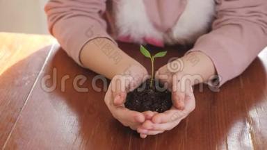 女孩手里拿着年轻的绿色植物。 生长，呵护，<strong>保护地</strong>球，生态的理念和标志..